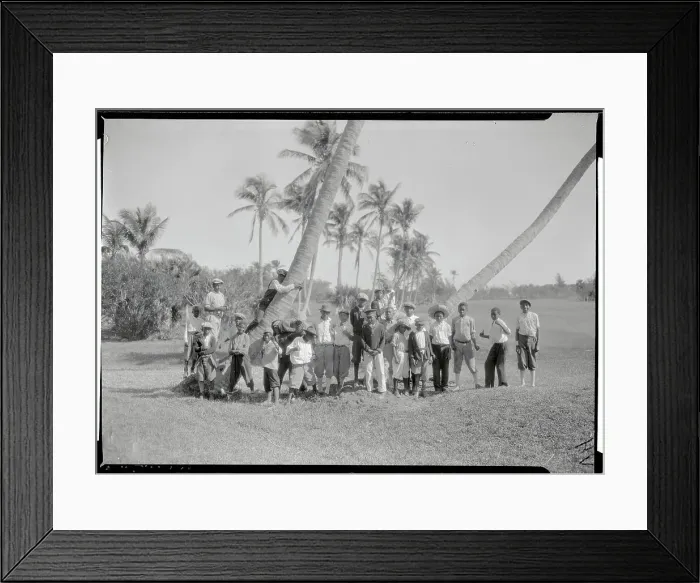 Framed Print : Group of Caddies on Golf Course Framed Print : Group of Caddies on Golf Course