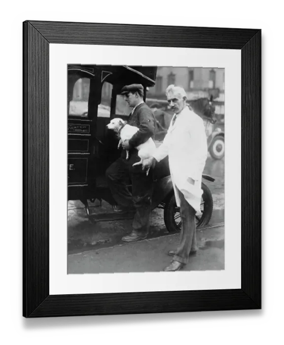 Framed Print : New Animal Hospital To Open Soon Framed Print : New Animal Hospital To Open Soon