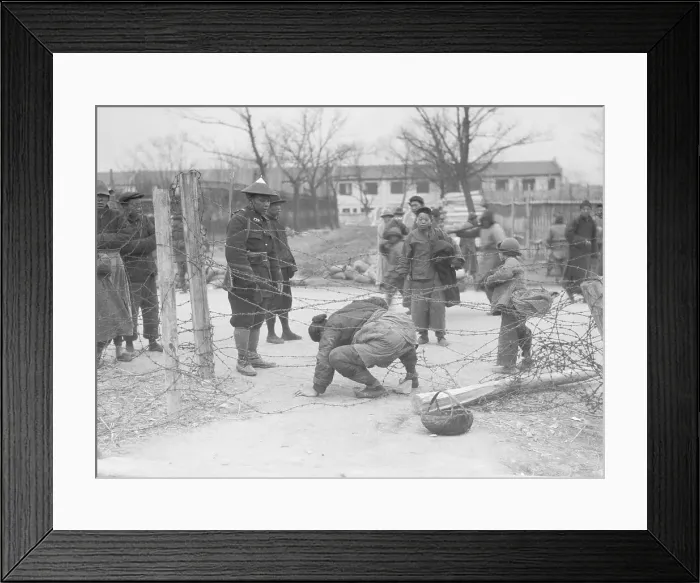 Framed Print : Woman Crawling Through Barbed Wire Framed Print : Woman Crawling Through Barbed Wire