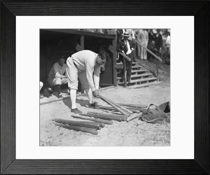 Framed Print : Baseball Legend Babe Ruth Retrieving a Baseball Bat Framed Print : Baseball Legend Babe Ruth Retrieving a Baseball Bat