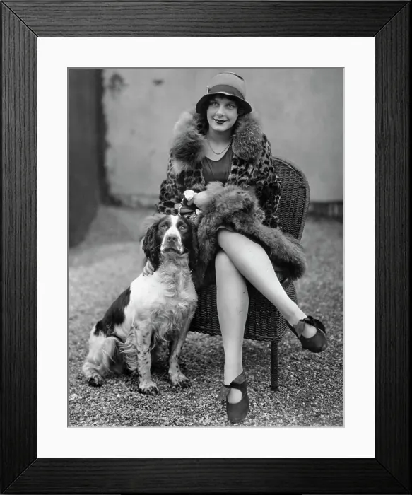 Framed Print : American Spaniel Club Show Framed Print : American Spaniel Club Show