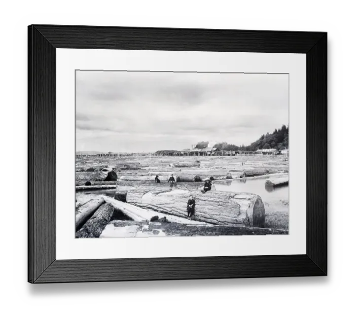 Framed Print : Large Sawmill On The Culumbie River Framed Print : Large Sawmill On The Culumbie River