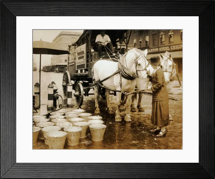 Framed Print : Woman Waters Horses from Fire Hydrant Framed Print : Woman Waters Horses from Fire Hydrant