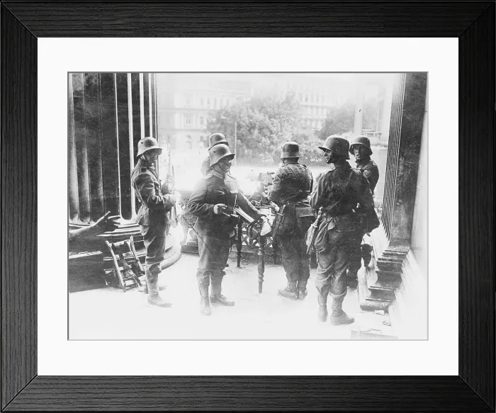 Framed Print : Austrian Soldiers on Guard Framed Print : Austrian Soldiers on Guard