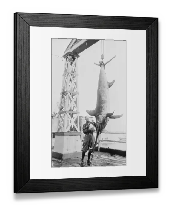 Framed Print : Author Zane Grey Posing Beside His Huge Fish Catch Framed Print : Author Zane Grey Posing Beside His Huge Fish Catch