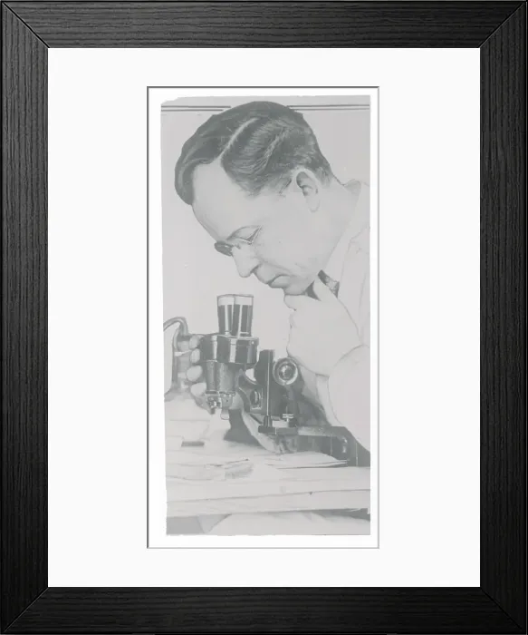 Framed Print : E. O. Heinrich Gazing into Microscope Framed Print : E. O. Heinrich Gazing into Microscope