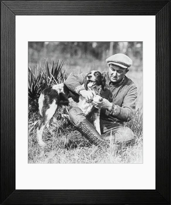 Framed Print : Baseball Player Ty Cobb Fixing Injured Dog's Paw Framed Print : Baseball Player Ty Cobb Fixing Injured Dog's Paw