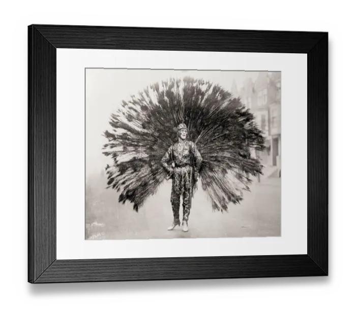 Framed Print : Man in Peacock Costume