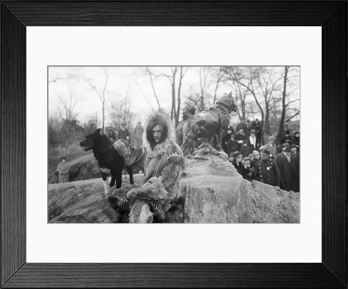 Framed Print : Heroic Sled Dog and Driver Framed Print : Heroic Sled Dog and Driver