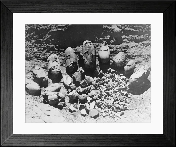 Framed Print : Ancient Dinosaur Egg Nest Discovery Framed Print : Ancient Dinosaur Egg Nest Discovery