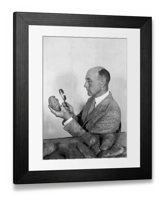Framed Print : Roy Chapman Andrews Looking at Egg Framed Print : Roy Chapman Andrews Looking at Egg