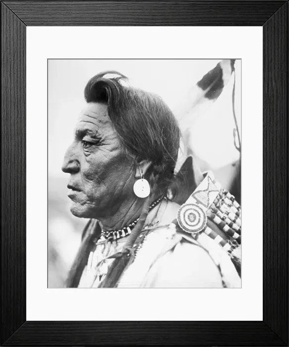 Framed Print : Profile Portrait of Chief Two Guns White Calf Framed Print : Profile Portrait of Chief Two Guns White Calf