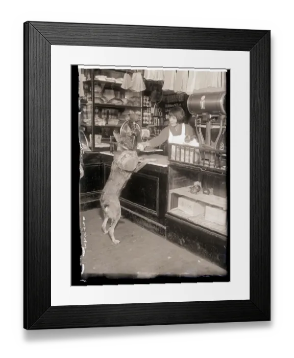 Framed Print : Dog At Grocery Counter Giving Money Framed Print : Dog At Grocery Counter Giving Money