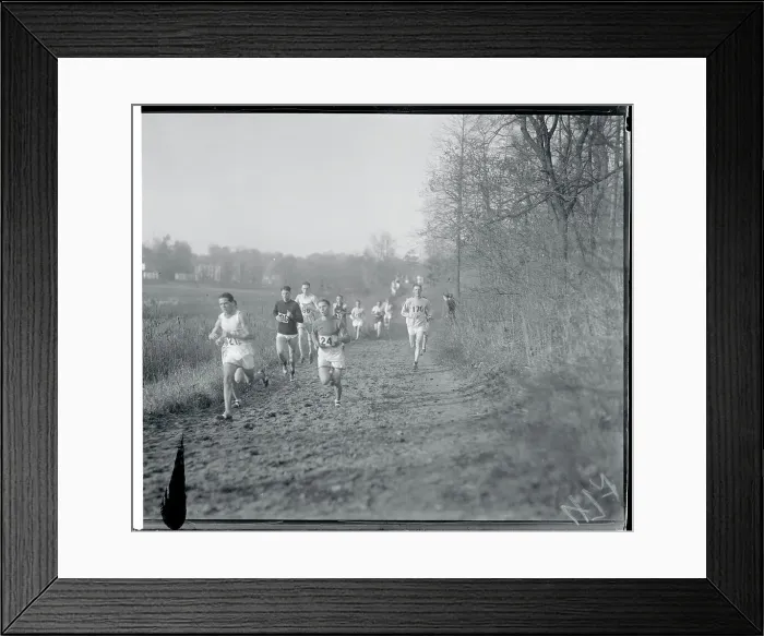Framed Print : Runners During Race Through Van Cortland Park Framed Print : Runners During Race Through Van Cortland Park