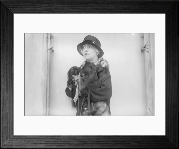 Framed Print : Elsie De Woolf Returns to New York Framed Print : Elsie De Woolf Returns to New York