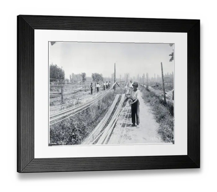 Framed Print : Man Making Rope Framed Print : Man Making Rope
