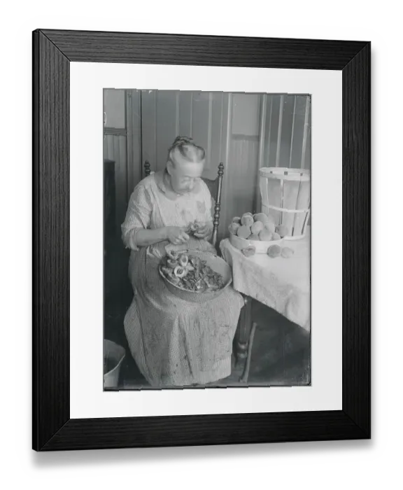 Framed Print : Woman Slicing Peaches Framed Print : Woman Slicing Peaches