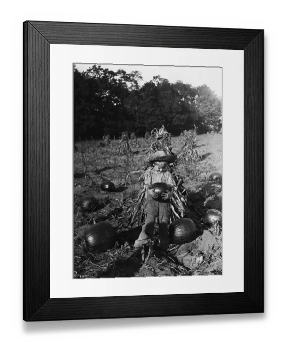Framed Print : Boy (6-7 years) carrying pumpkin in field. August 05, 1925 Framed Print : Boy (6-7 years) carrying pumpkin in field. August 05, 1925