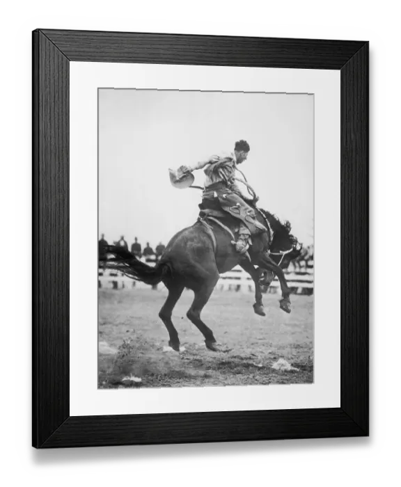 Framed Print : Cowboy Riding Horse In Rodeo Framed Print : Cowboy Riding Horse In Rodeo