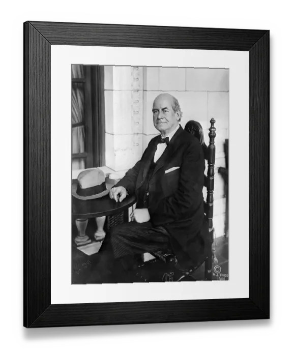 Framed Print : William Jennings Bryan Framed Print : William Jennings Bryan