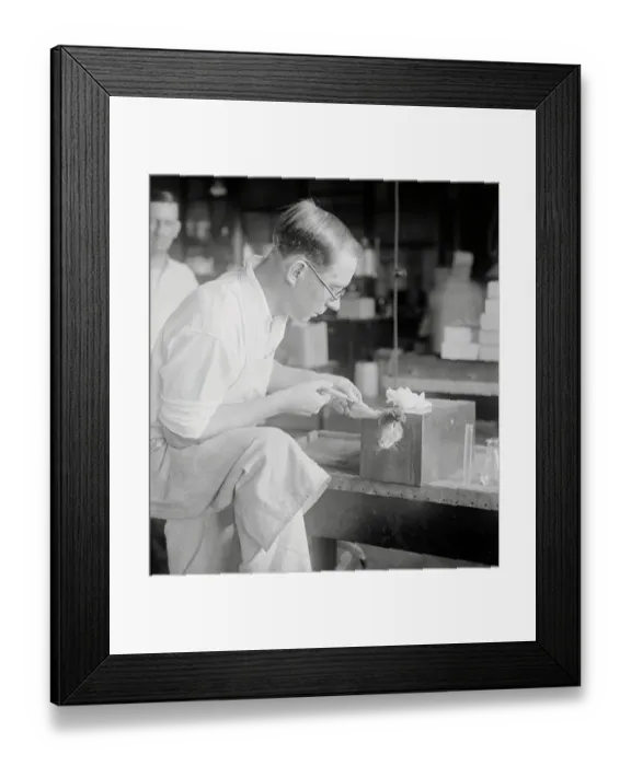 Framed Print : Dr. E.M.K. Gelling in Laboratory Framed Print : Dr. E.M.K. Gelling in Laboratory
