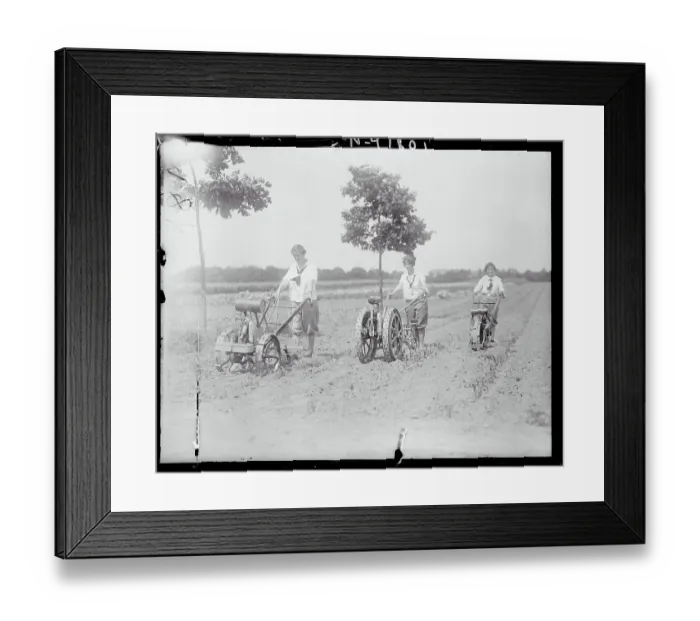 Framed Print : Women Ploughing a Field Framed Print : Women Ploughing a Field