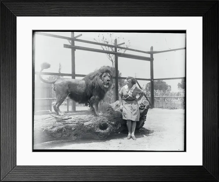 Framed Print : Animal Trainer Posing Next to a Lion Framed Print : Animal Trainer Posing Next to a Lion