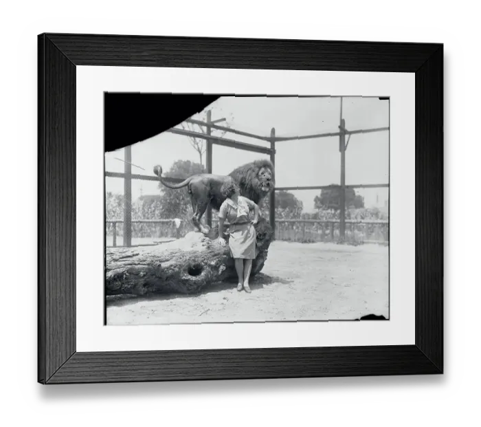 Framed Print : Animal Trainer Posing Next to a Lion