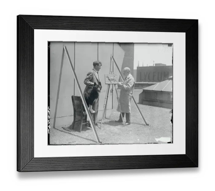 Framed Print : Dog Posing for a Statue Framed Print : Dog Posing for a Statue