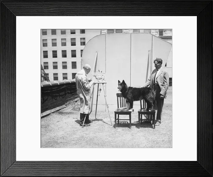 Framed Print : Husky Balto Poses For Sculptor Framed Print : Husky Balto Poses For Sculptor