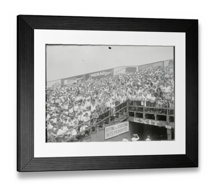 Framed Print : Fans Cheering at Baseball Game Framed Print : Fans Cheering at Baseball Game