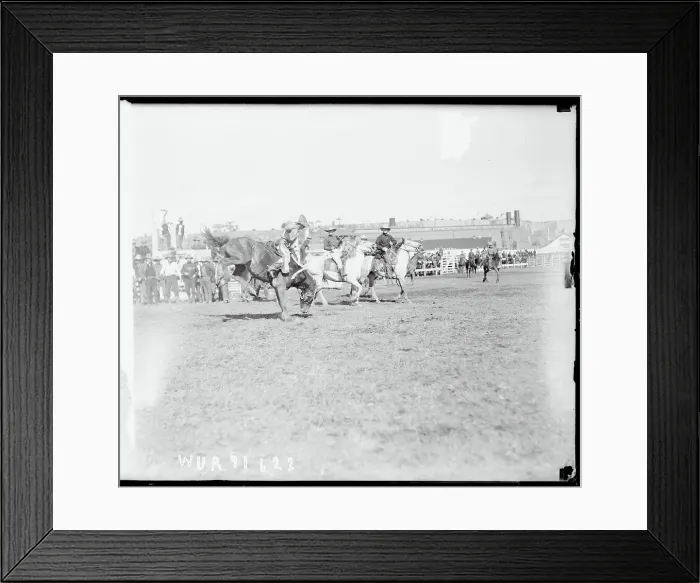Framed Print : Pete Forester Competing in Rodeo