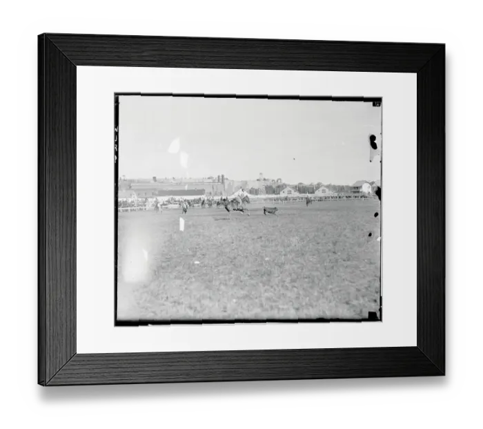 Framed Print : Gunner Pierson Roping Calf Framed Print : Gunner Pierson Roping Calf