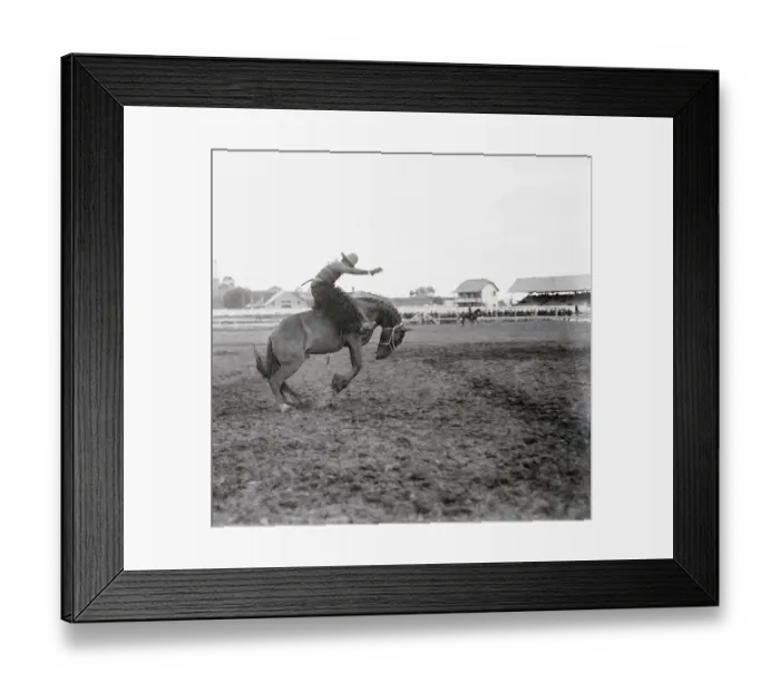 Framed Print : Pat Smith Competing in Rodeo Framed Print : Pat Smith Competing in Rodeo