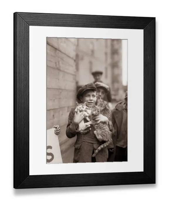 Framed Print : Boy Carries Three Young Cats Framed Print : Boy Carries Three Young Cats