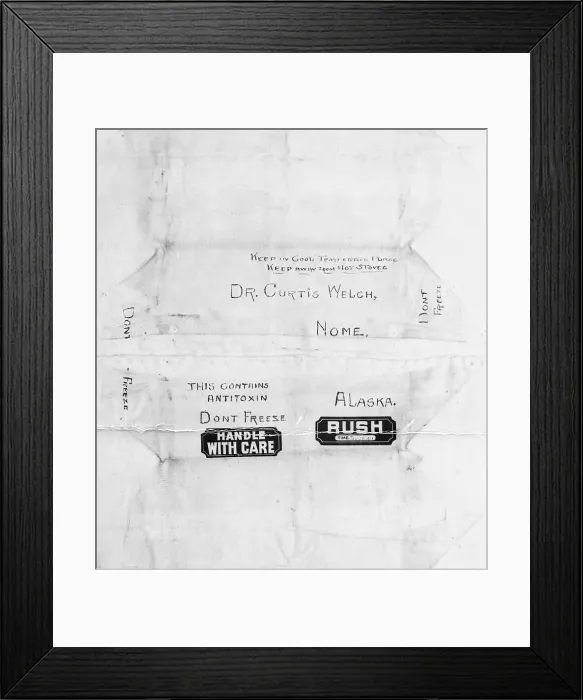 Framed Print : Mailing Package for Diphtheria Serum Framed Print : Mailing Package for Diphtheria Serum