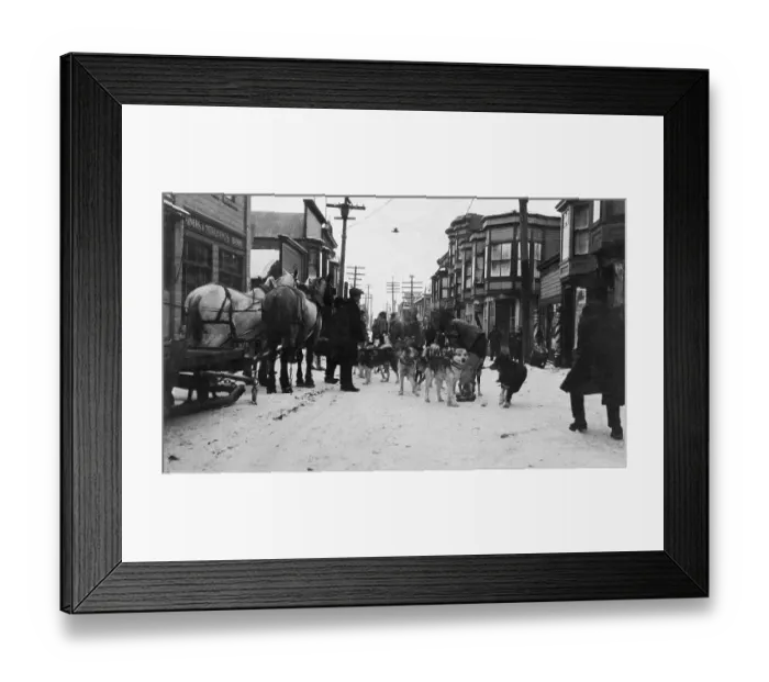 Framed Print : Dog Team Comes With Diphtheria Antitoxin Framed Print : Dog Team Comes With Diphtheria Antitoxin