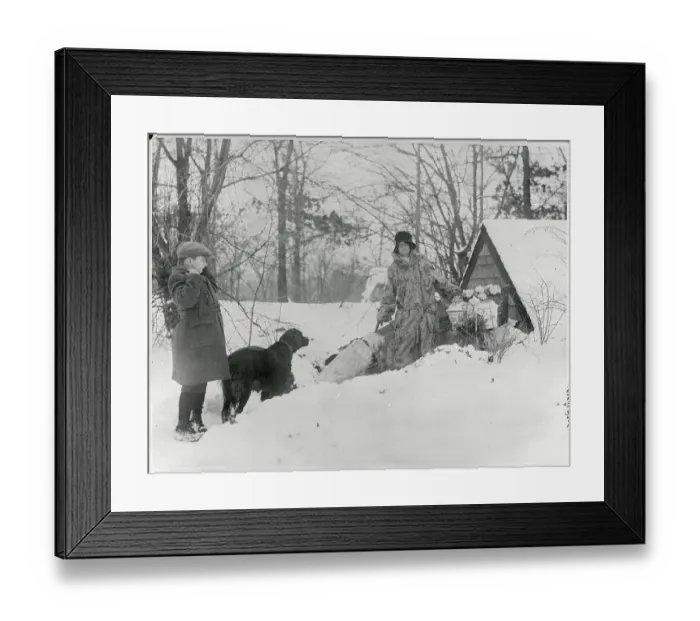 Framed Print : People Attending Funeral at Pet Cemetery Framed Print : People Attending Funeral at Pet Cemetery