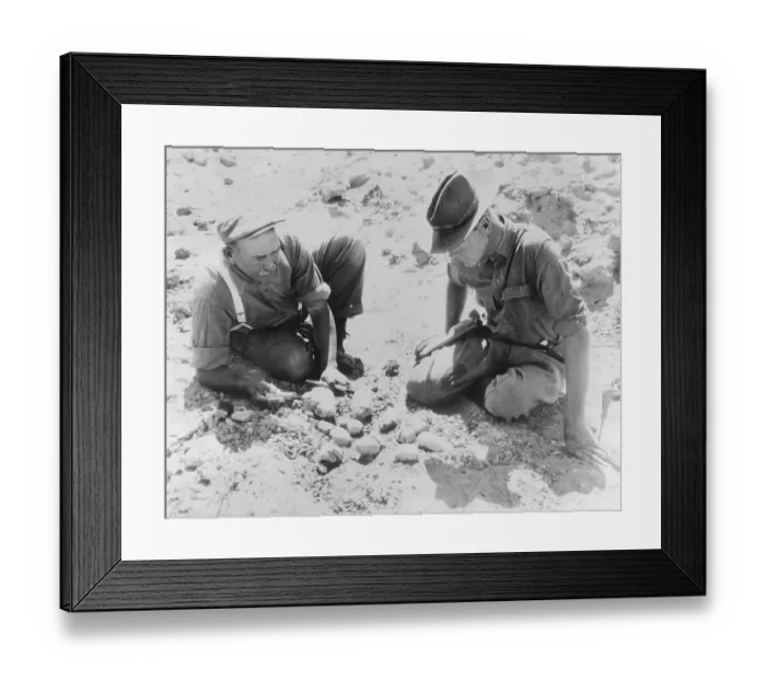 Framed Print : Dinosaur Egg Discoverer George Olsen Showing His Find