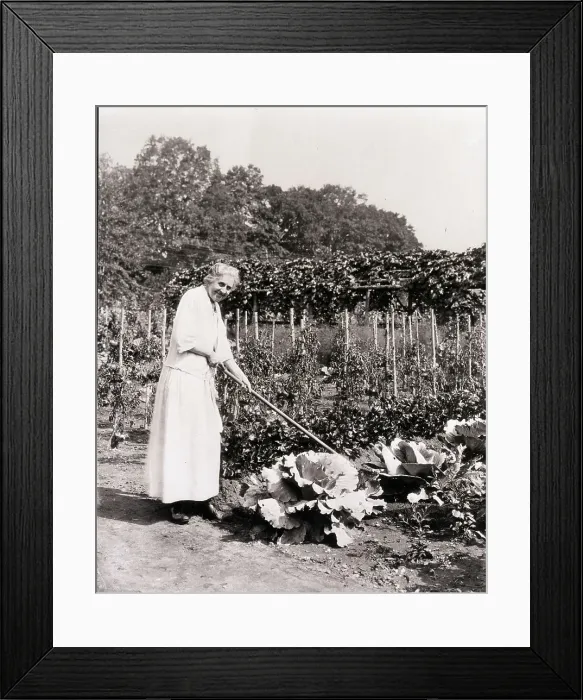 Framed Print : Ida M. Tarbell Working in Garden Framed Print : Ida M. Tarbell Working in Garden