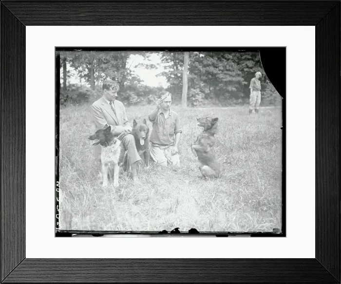 Framed Print : Dog Performing a Trick for Gunnar Kasson Framed Print : Dog Performing a Trick for Gunnar Kasson
