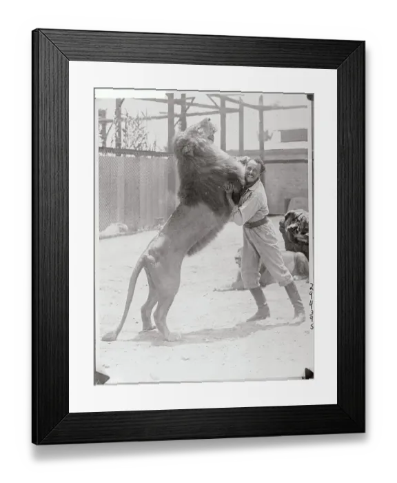 Framed Print : Animal Trainer Wrestling a Lion Framed Print : Animal Trainer Wrestling a Lion