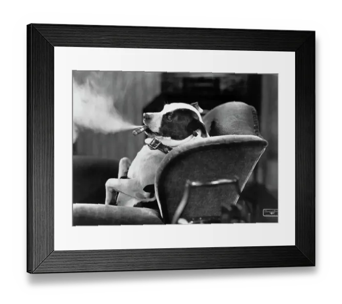 Framed Print : Dog Smoking Cigar in Overstuffed Chair Framed Print : Dog Smoking Cigar in Overstuffed Chair