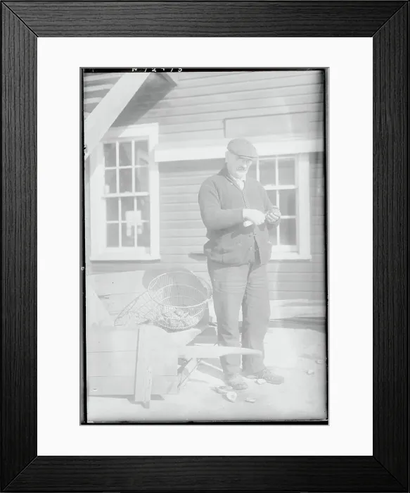 Framed Print : Man Shucking an Oyster Framed Print : Man Shucking an Oyster