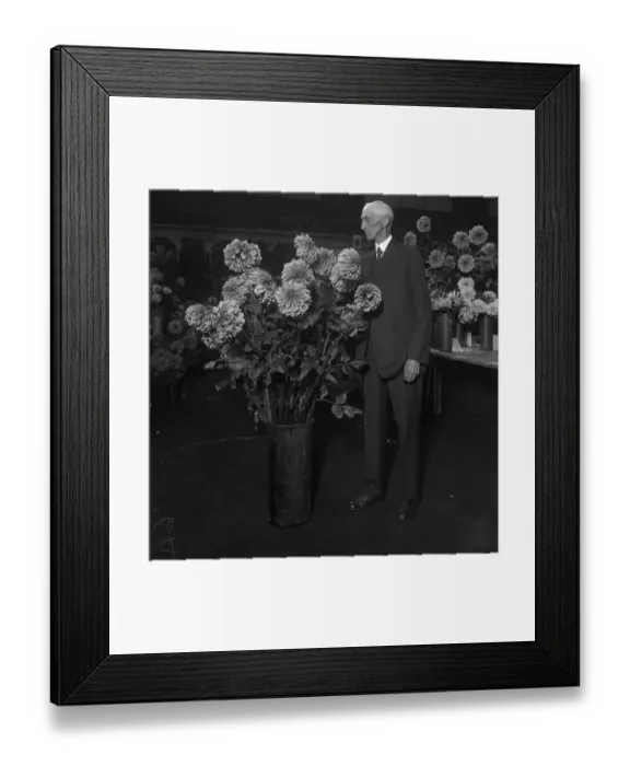 Framed Print : Senior man looking at flowers Framed Print : Senior man looking at flowers