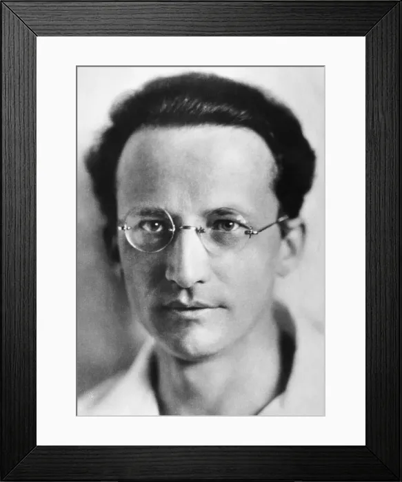 Framed Print : Erwin Schrodinger Framed Print : Erwin Schrodinger