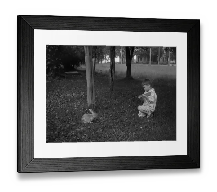Framed Print : Boy (6-7 years) aiming to rabbit from rifle Framed Print : Boy (6-7 years) aiming to rabbit from rifle