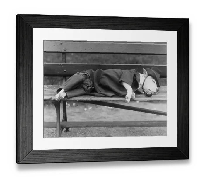 Framed Print : Sleeping Dog in Outfit Framed Print : Sleeping Dog in Outfit