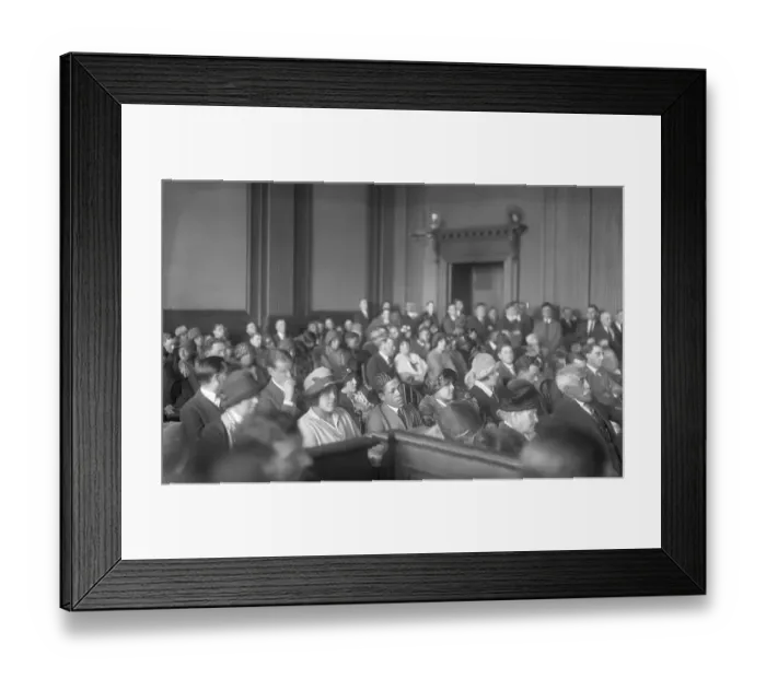 Framed Print : Rhinelander v. Rhinelander Trial of 1925 Framed Print : Rhinelander v. Rhinelander Trial of 1925