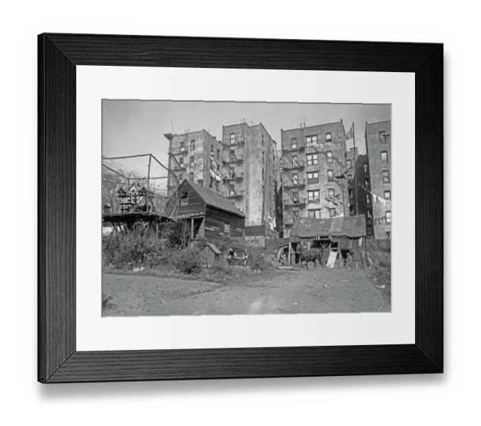 Framed Print : Inner City Farmer, Bronx